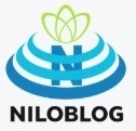 کسب و کار نوین در سایه اینترنت